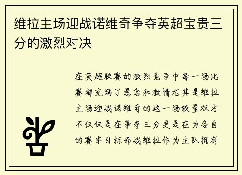 维拉主场迎战诺维奇争夺英超宝贵三分的激烈对决